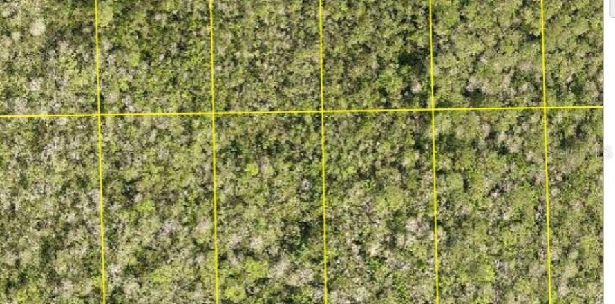 Land in DeLand, Florida № 2195841