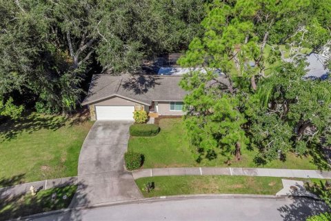 House in Dunedin, Florida 3 bedrooms, 170.48 sq.m. № 2428737 - photo 3