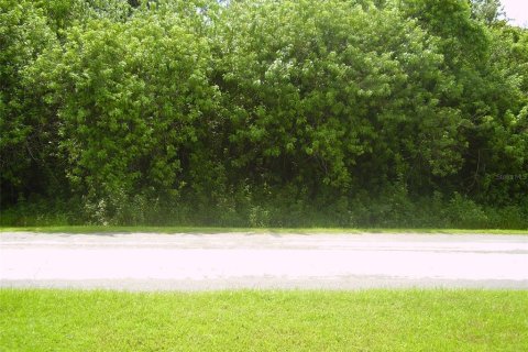 Terreno en venta en Kissimmee, Florida № 2239948 - foto 4