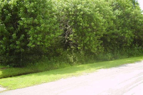 Terreno en venta en Kissimmee, Florida № 2239948 - foto 2