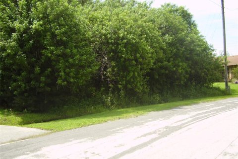 Land in Kissimmee, Florida № 2239948