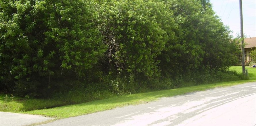 Terreno en Kissimmee, Florida № 2239948