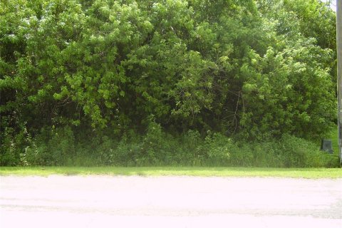 Terreno en venta en Kissimmee, Florida № 2239948 - foto 3