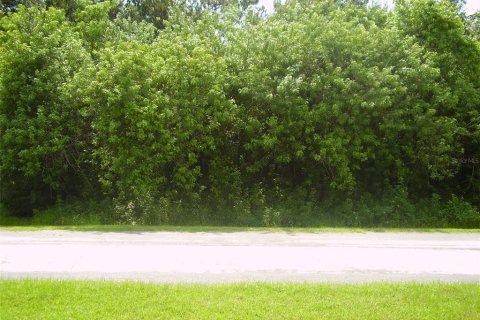Terreno en venta en Kissimmee, Florida № 2239948 - foto 5