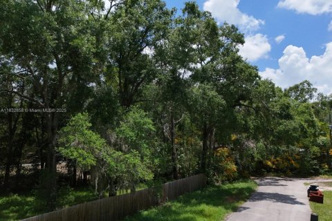 Land in Jacksonville, Florida № 1811975 - photo 14