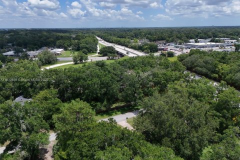 Land in Jacksonville, Florida № 1811975 - photo 7