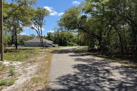 Terrain à vendre à Ocklawaha, Floride № 2205946 - photo 4