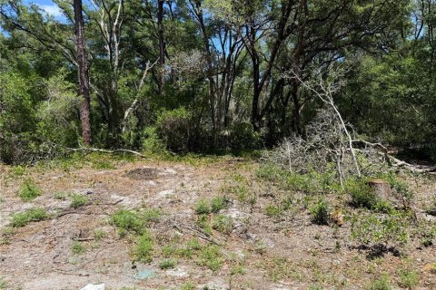 Terrain à vendre à Ocklawaha, Floride № 2205946 - photo 2