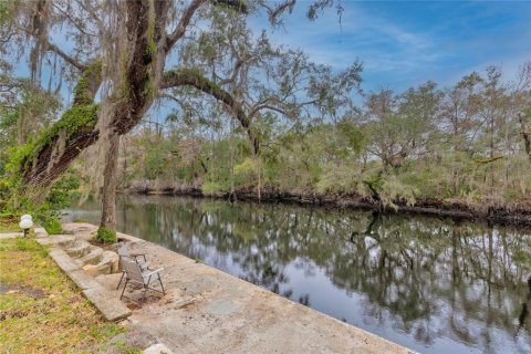 Casa en alquiler en Temple Terrace, Florida, 3 dormitorios, 167.78 m2 № 1720365 - foto 4