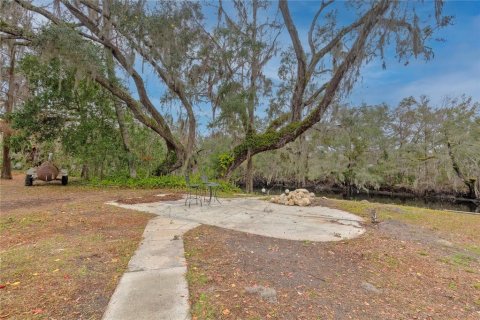 Casa en alquiler en Temple Terrace, Florida, 3 dormitorios, 167.78 m2 № 1720365 - foto 16