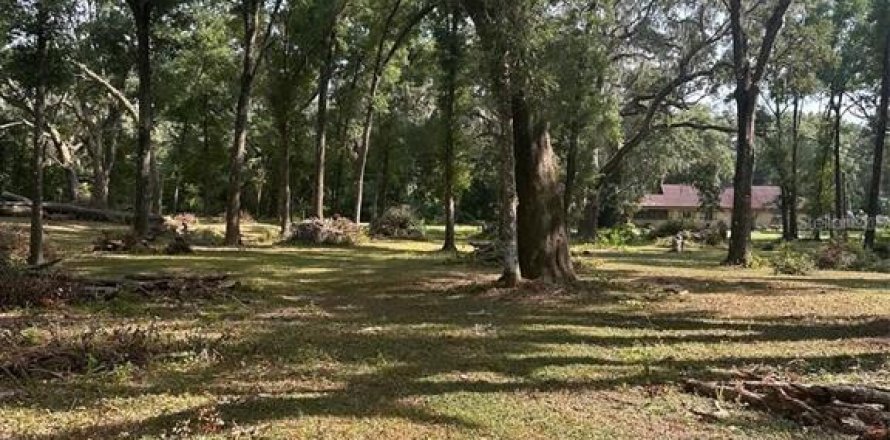 Terrain à Dunnellon, Floride № 1757194