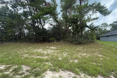 House in Ocala, Florida 5 bedrooms, 253.9 sq.m. № 1906634 - photo 3