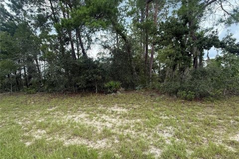 House in Ocala, Florida 5 bedrooms, 253.9 sq.m. № 1906634 - photo 4