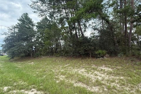 House in Ocala, Florida 5 bedrooms, 253.9 sq.m. № 1906634 - photo 6