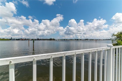 Condo in South Pasadena, Florida, 1 bedroom  № 1745401 - photo 25