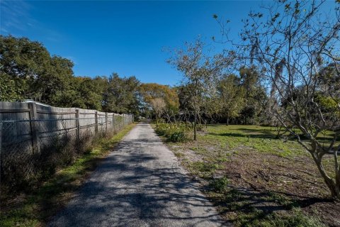 Land in Dunedin, Florida № 290539 - photo 19