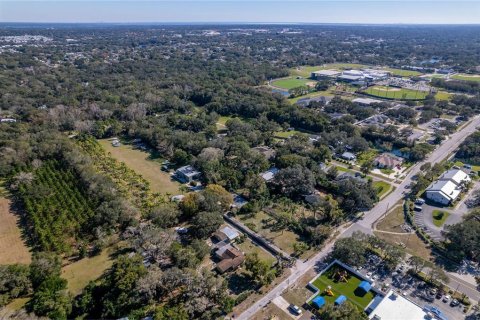Land in Dunedin, Florida № 290539 - photo 4