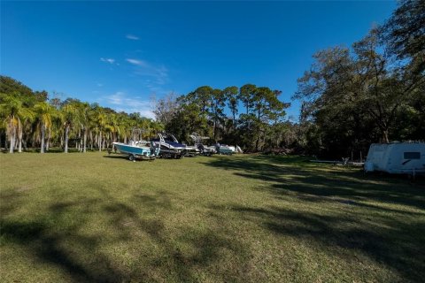 Land in Dunedin, Florida № 290539 - photo 28
