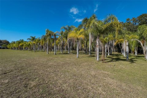 Land in Dunedin, Florida № 290539 - photo 30