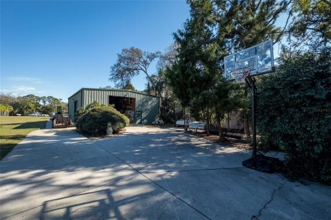 Land in Dunedin, Florida № 290539 - photo 23