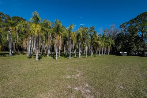 Land in Dunedin, Florida № 290539 - photo 29