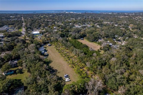 Land in Dunedin, Florida № 290539 - photo 9