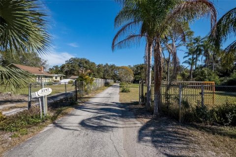 Land in Dunedin, Florida № 290539 - photo 17