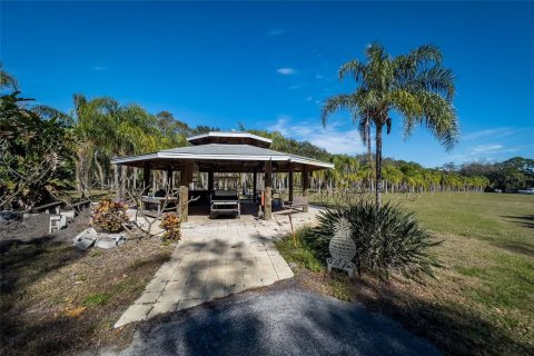 Land in Dunedin, Florida № 290539 - photo 22