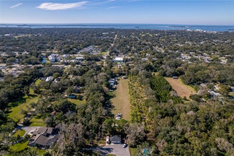Land in Dunedin, Florida № 290539 - photo 8