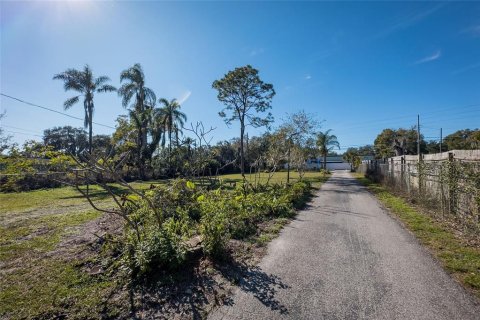 Land in Dunedin, Florida № 290539 - photo 15