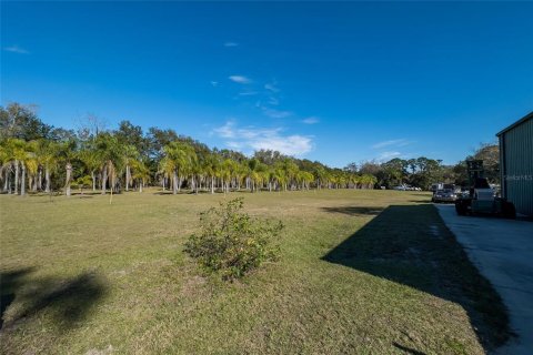 Land in Dunedin, Florida № 290539 - photo 26