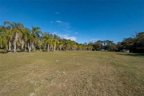 Land in Dunedin, Florida № 290539 - photo 27