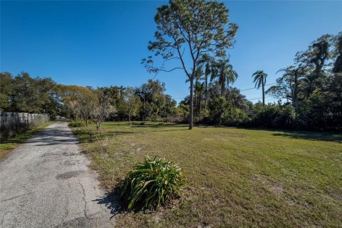 Land in Dunedin, Florida № 290539 - photo 18