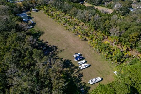 Land in Dunedin, Florida № 290539 - photo 14