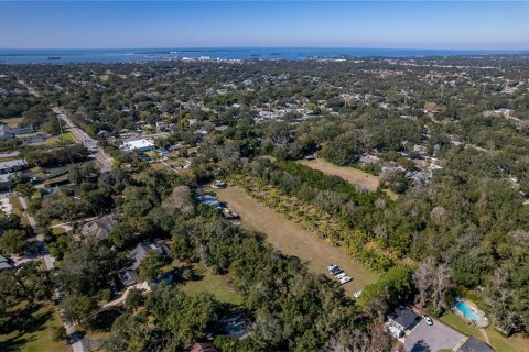 Land in Dunedin, Florida № 290539 - photo 10