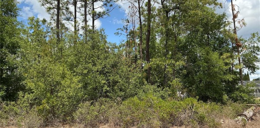 Terreno en Summerfield, Florida № 1769092