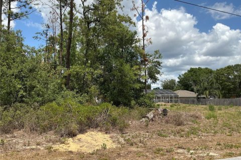 Terrain à vendre à Summerfield, Floride № 1769092 - photo 3