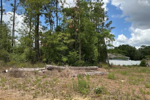 Terrain à vendre à Summerfield, Floride № 1769092 - photo 4