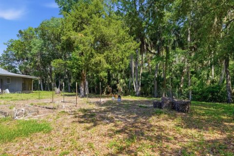 Villa ou maison à vendre à Homosassa, Floride: 2 chambres, 236.16 m2 № 2234023 - photo 24