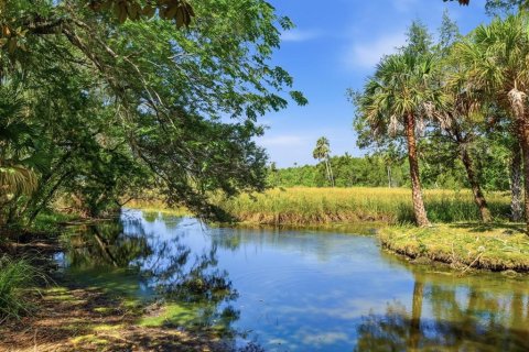 Villa ou maison à vendre à Homosassa, Floride: 2 chambres, 236.16 m2 № 2234023 - photo 16