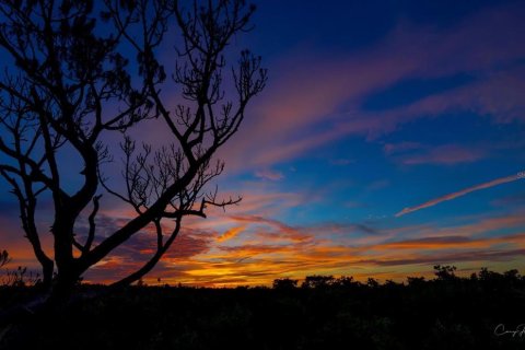 Villa ou maison à vendre à Seminole, Floride: 4 chambres, 264.4 m2 № 1912246 - photo 6