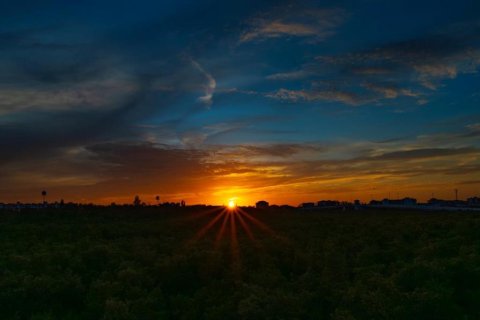 Villa ou maison à vendre à Seminole, Floride: 4 chambres, 264.4 m2 № 1912246 - photo 12