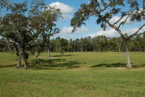 Terrain à vendre à Ocala, Floride № 1721702 - photo 10