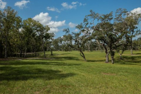 Terrain à vendre à Ocala, Floride № 1721702 - photo 11