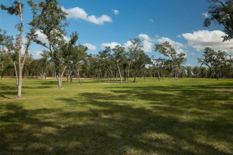 Terrain à vendre à Ocala, Floride № 1721702 - photo 14
