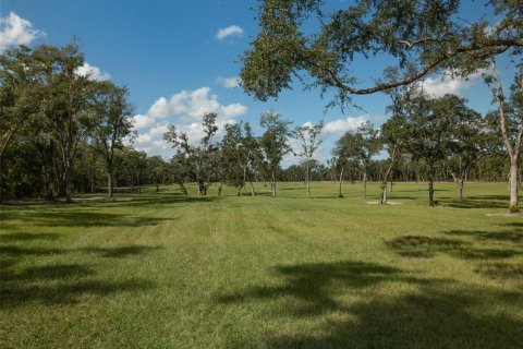 Terrain à vendre à Ocala, Floride № 1721702 - photo 13