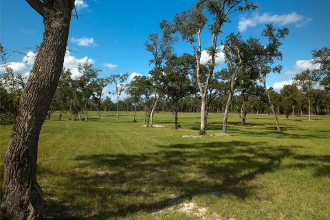 Terrain à vendre à Ocala, Floride № 1721702 - photo 8