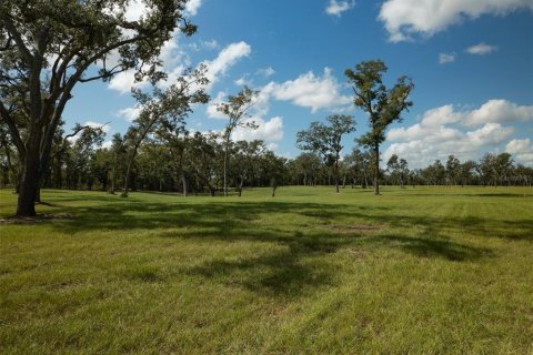Terrain à vendre à Ocala, Floride № 1721702 - photo 12