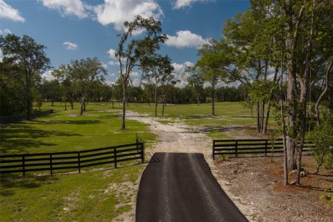 Terrain à vendre à Ocala, Floride № 1721702 - photo 6