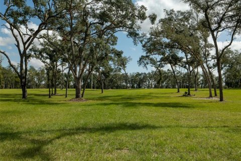 Terrain à vendre à Ocala, Floride № 1721702 - photo 7